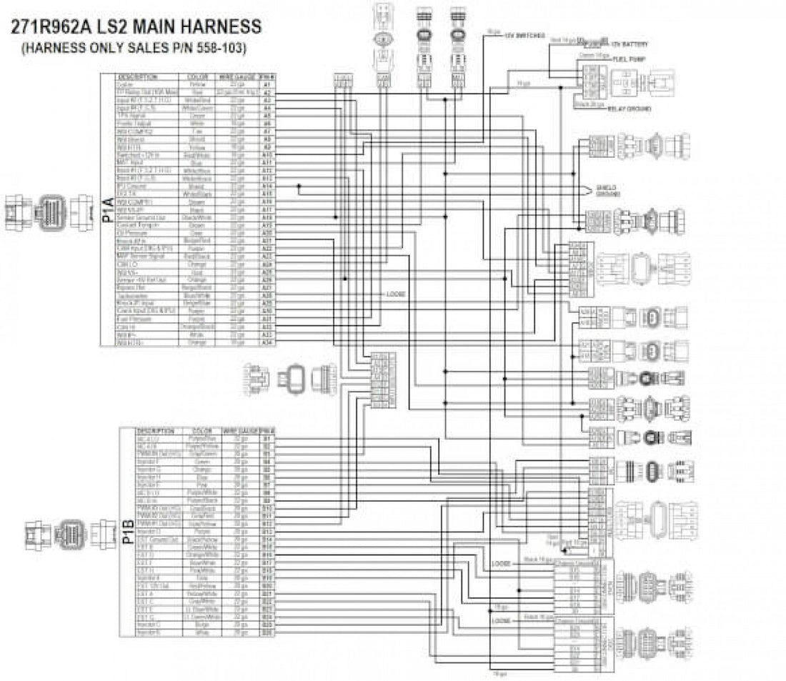 Holley EFI LS2/3/7  (58x/4x) Engine Main Harness